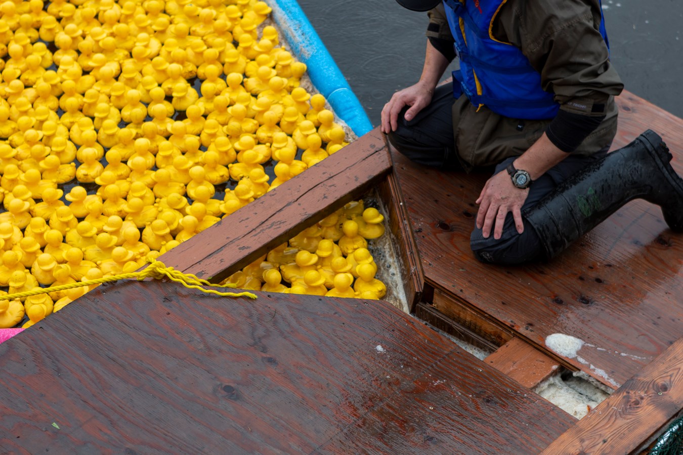 La Grande course des petits canards récolte plus de 21 000$
