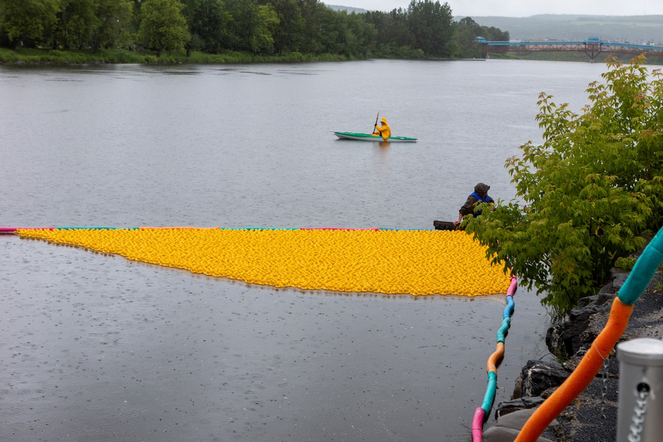 La Grande course des petits canards récolte plus de 21 000$