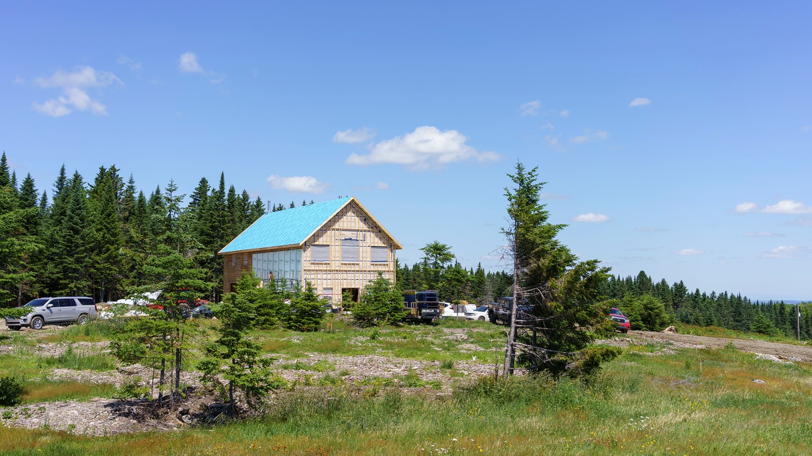 Un projet de reboisement voit le jour à Saint-Frédéric
