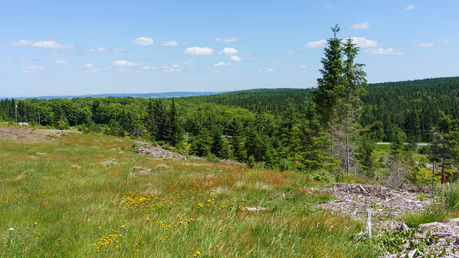 Terre de Simon Labbé à Saint-Frédéric