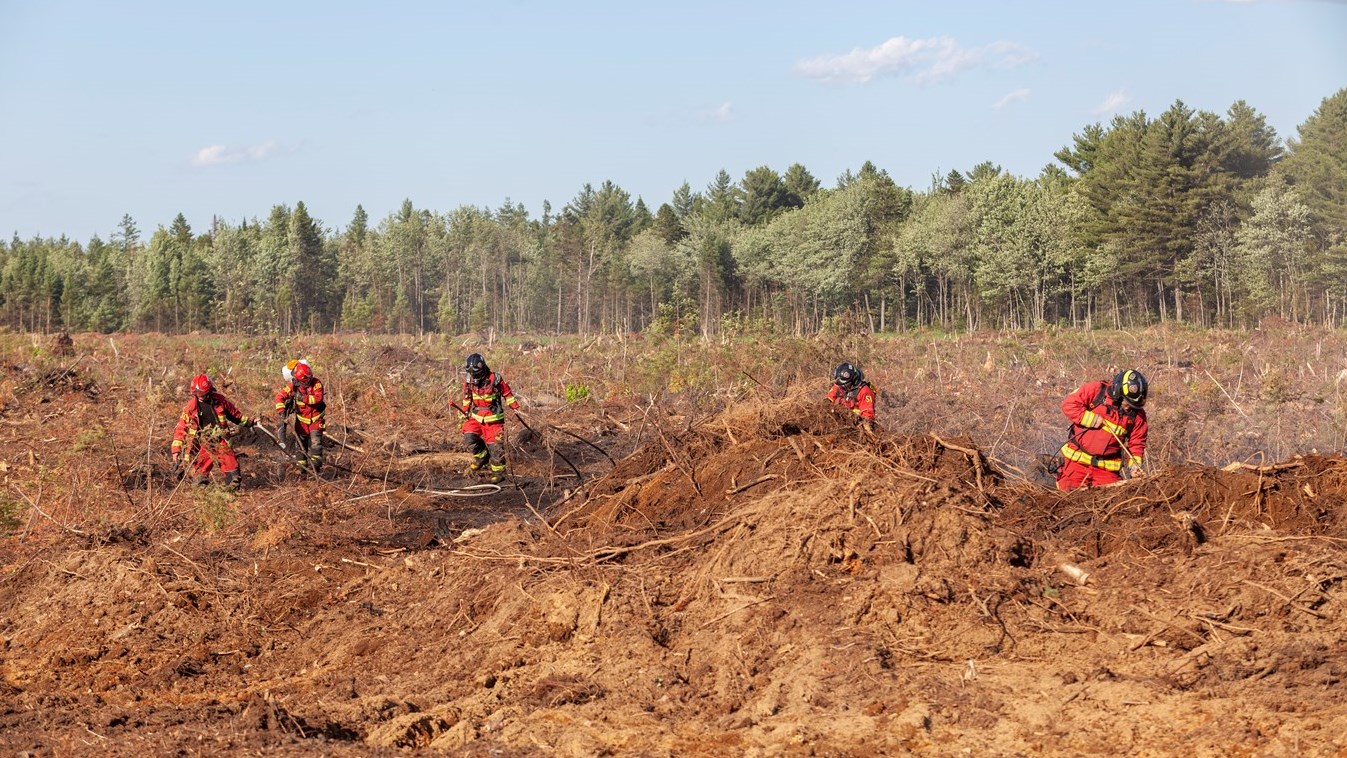 Feu de Broussaille Saint-Lambert-de-Lauzon