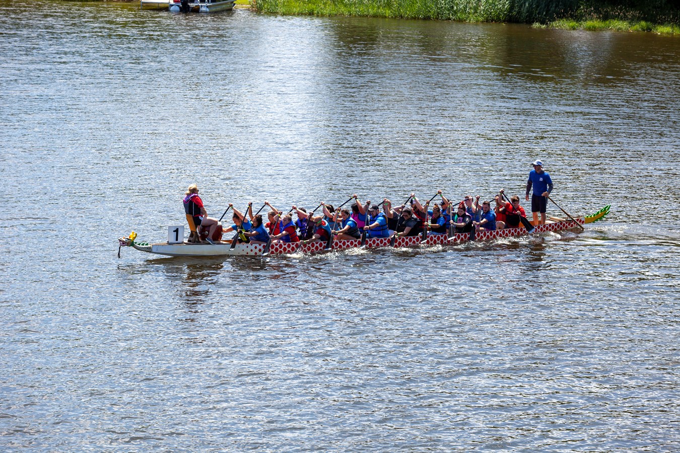Près de 550 rameurs dans les bateaux-dragons à Saint-Georges