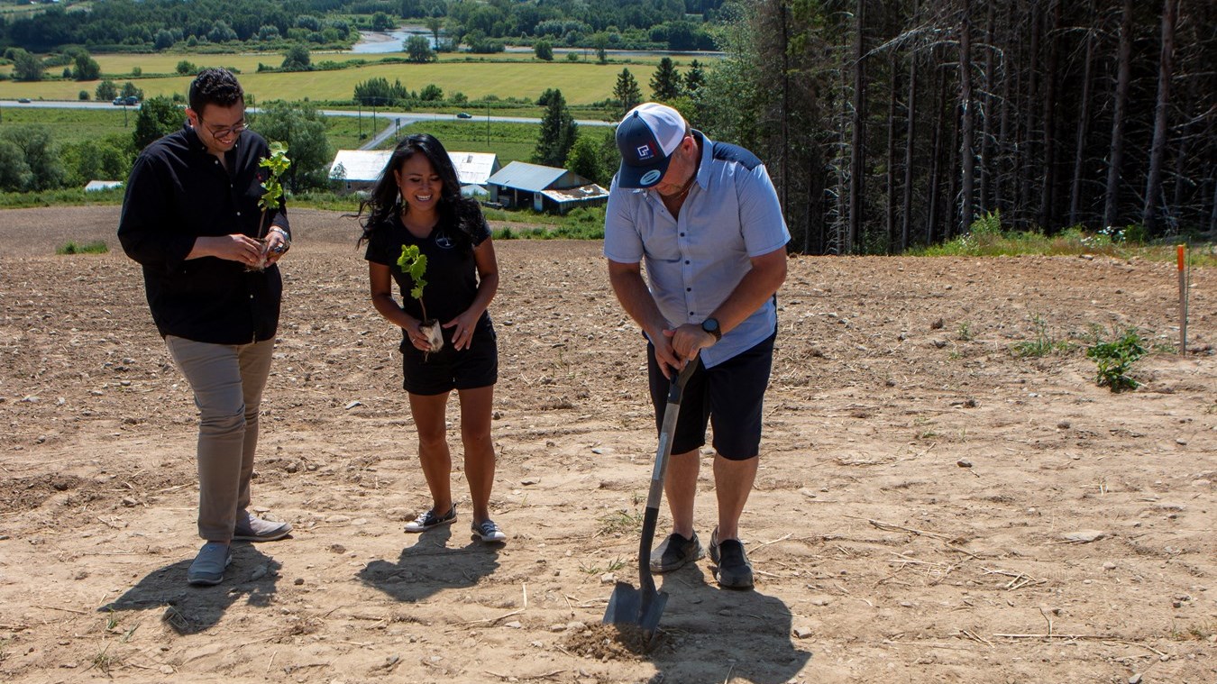 Le Domaine La Vieille Grange plante ses premières vignes 