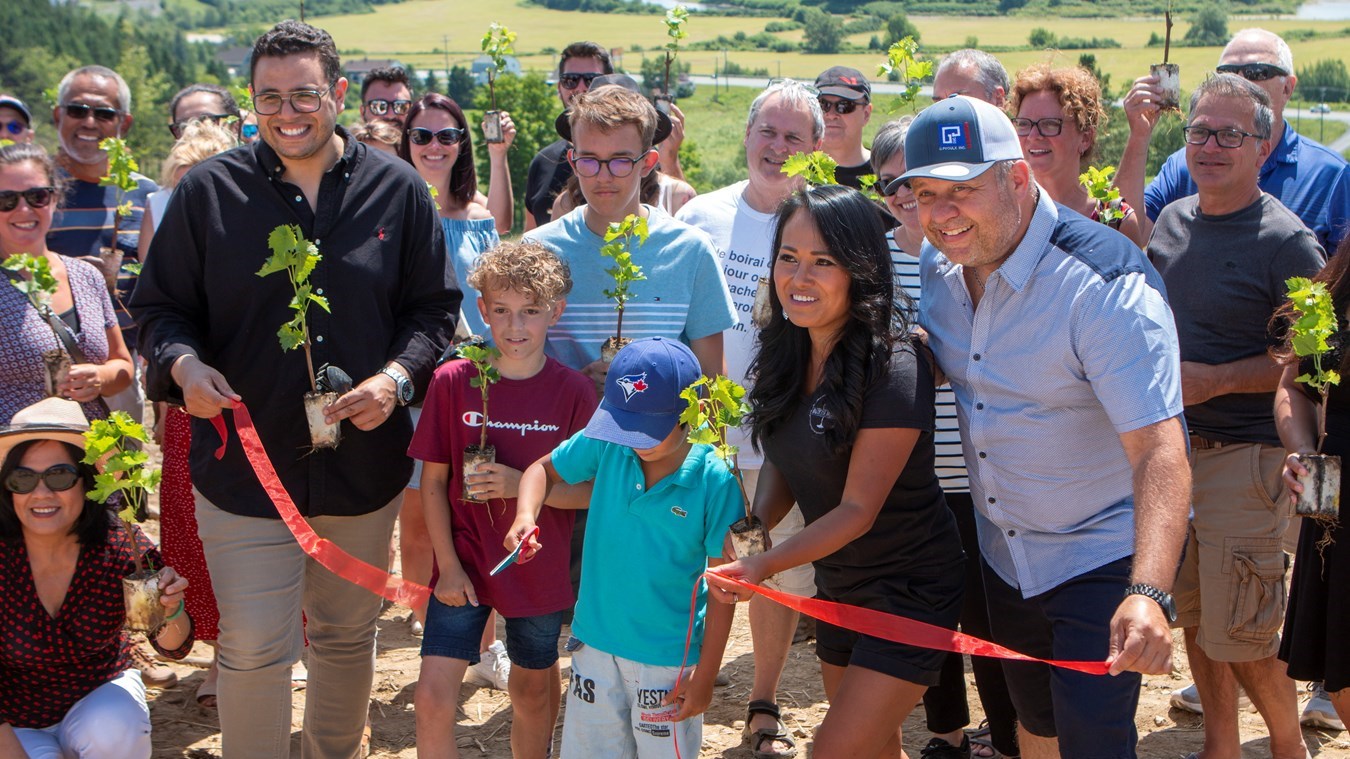 Le Domaine La Vieille Grange plante ses premières vignes 