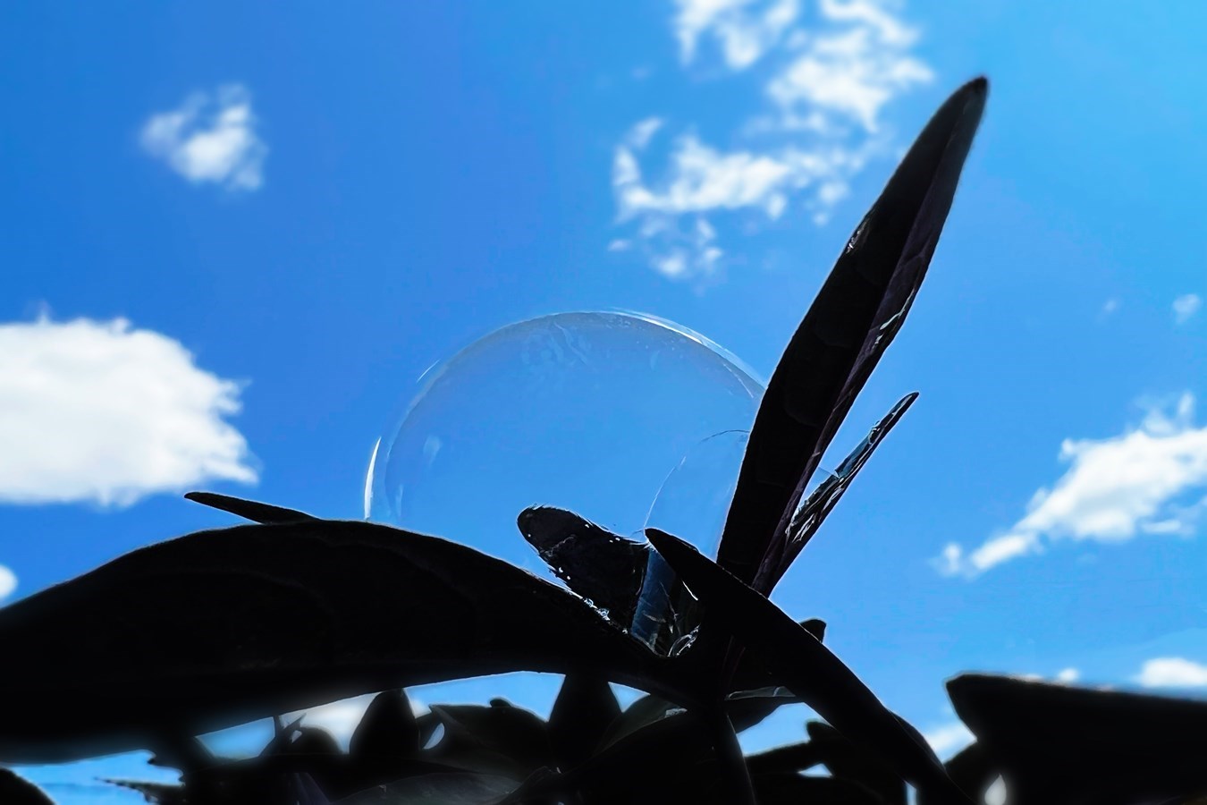 Galerie 1: le ciel en vedette