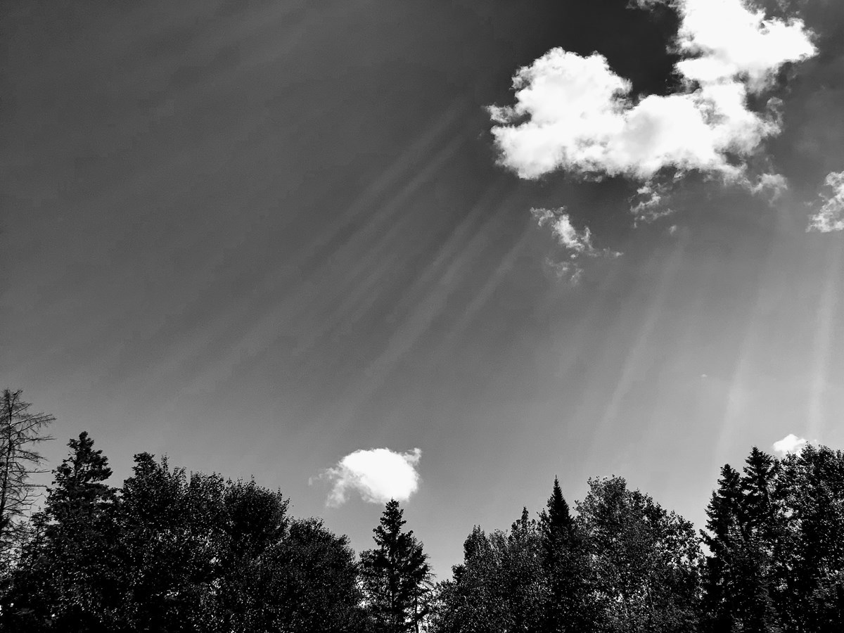 Galerie 4: le ciel en vedette