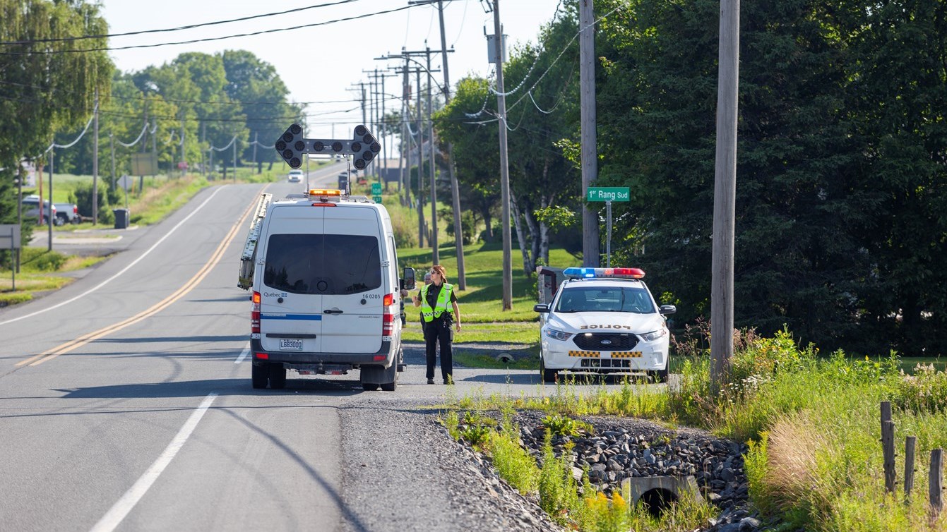 Un orignal en fuite à Saint-Victor