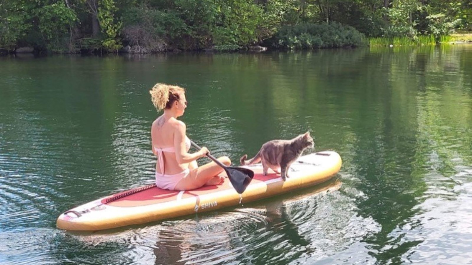 Galerie 3 : vos animaux en vacances