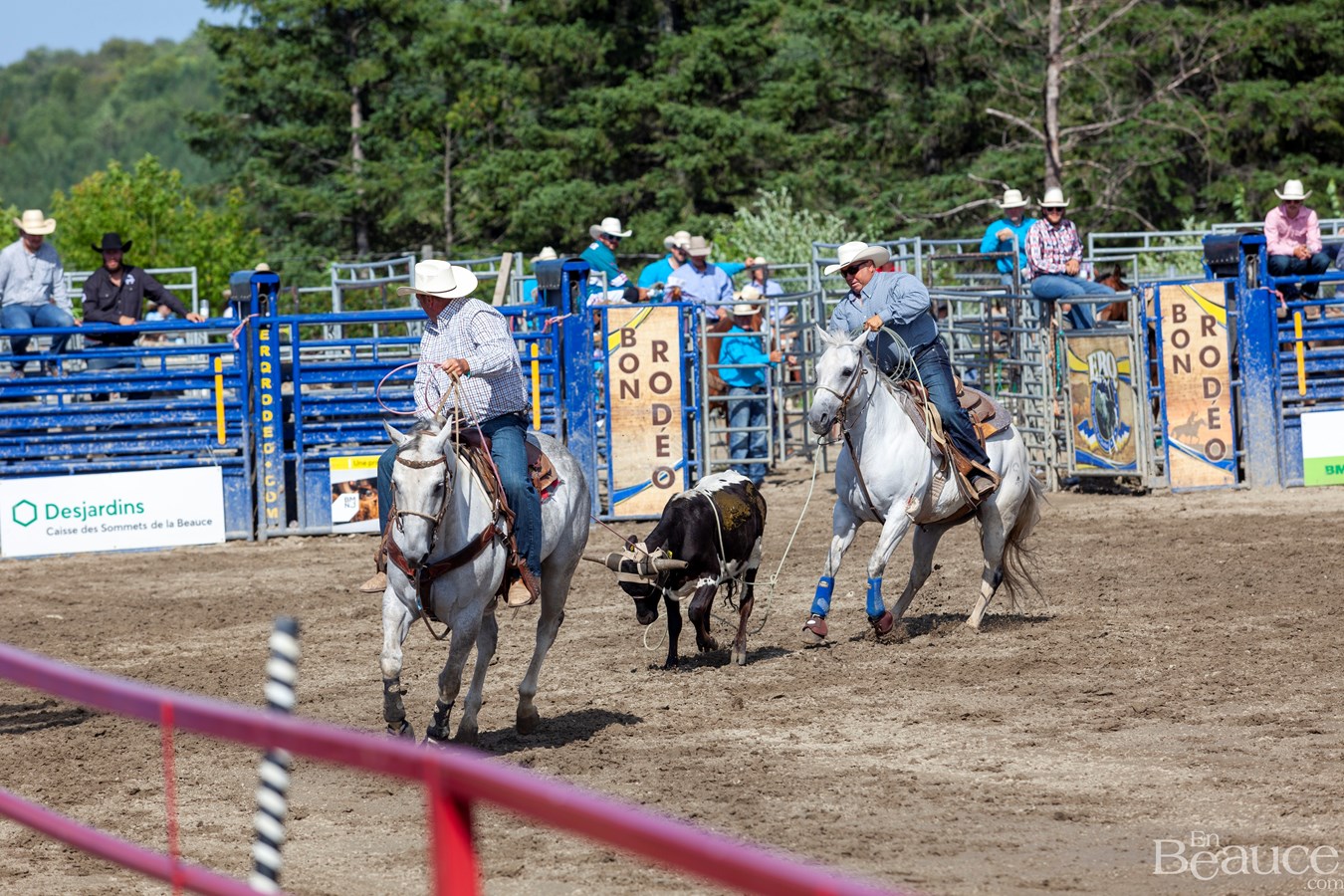 Un dernier rodéo enlevant pour les 43e Festivités Western de Saint-Victor
