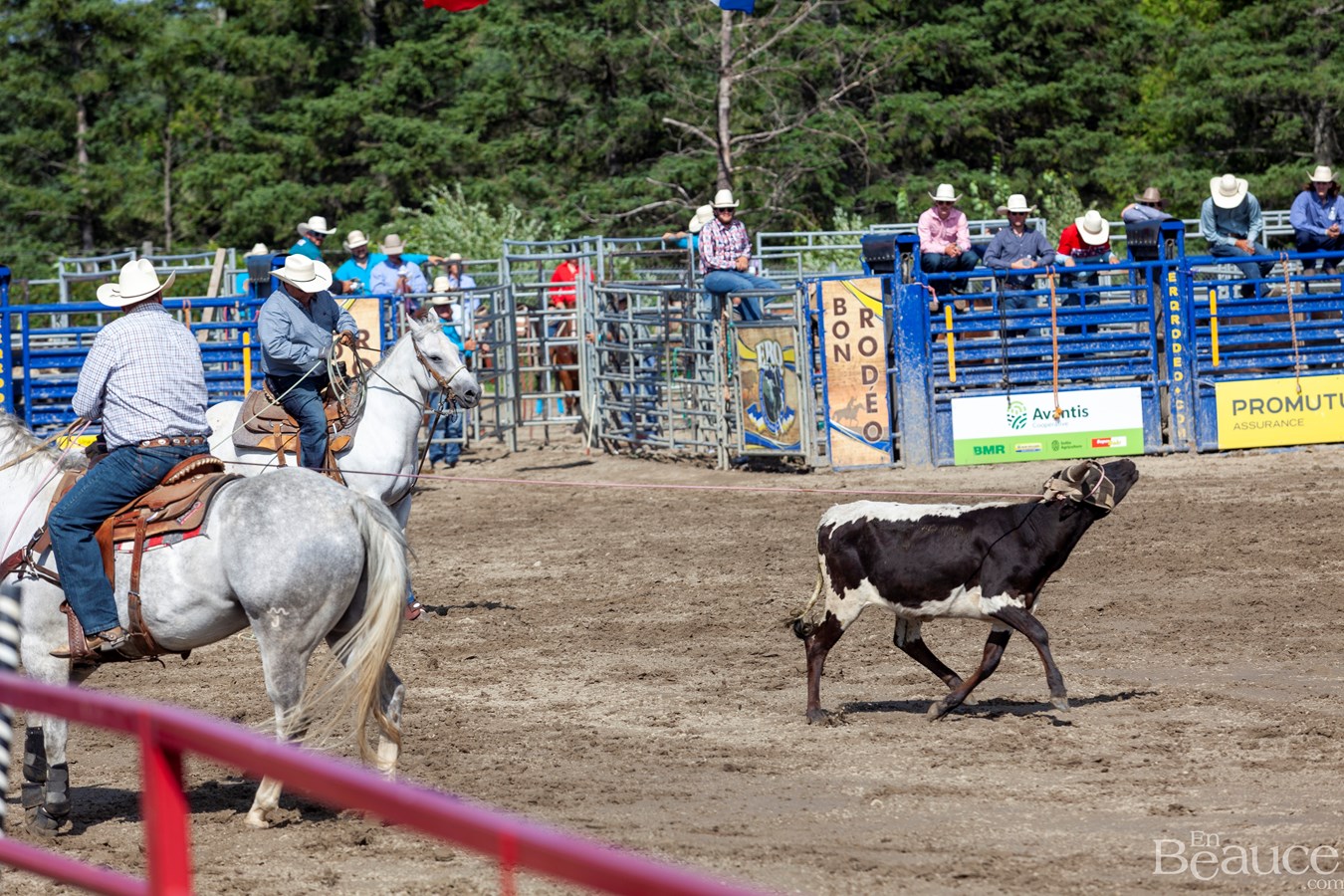 Un dernier rodéo enlevant pour les 43e Festivités Western de Saint-Victor