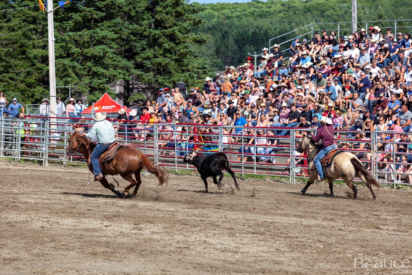 Un dernier rodéo enlevant pour les 43e Festivités Western de Saint-Victor