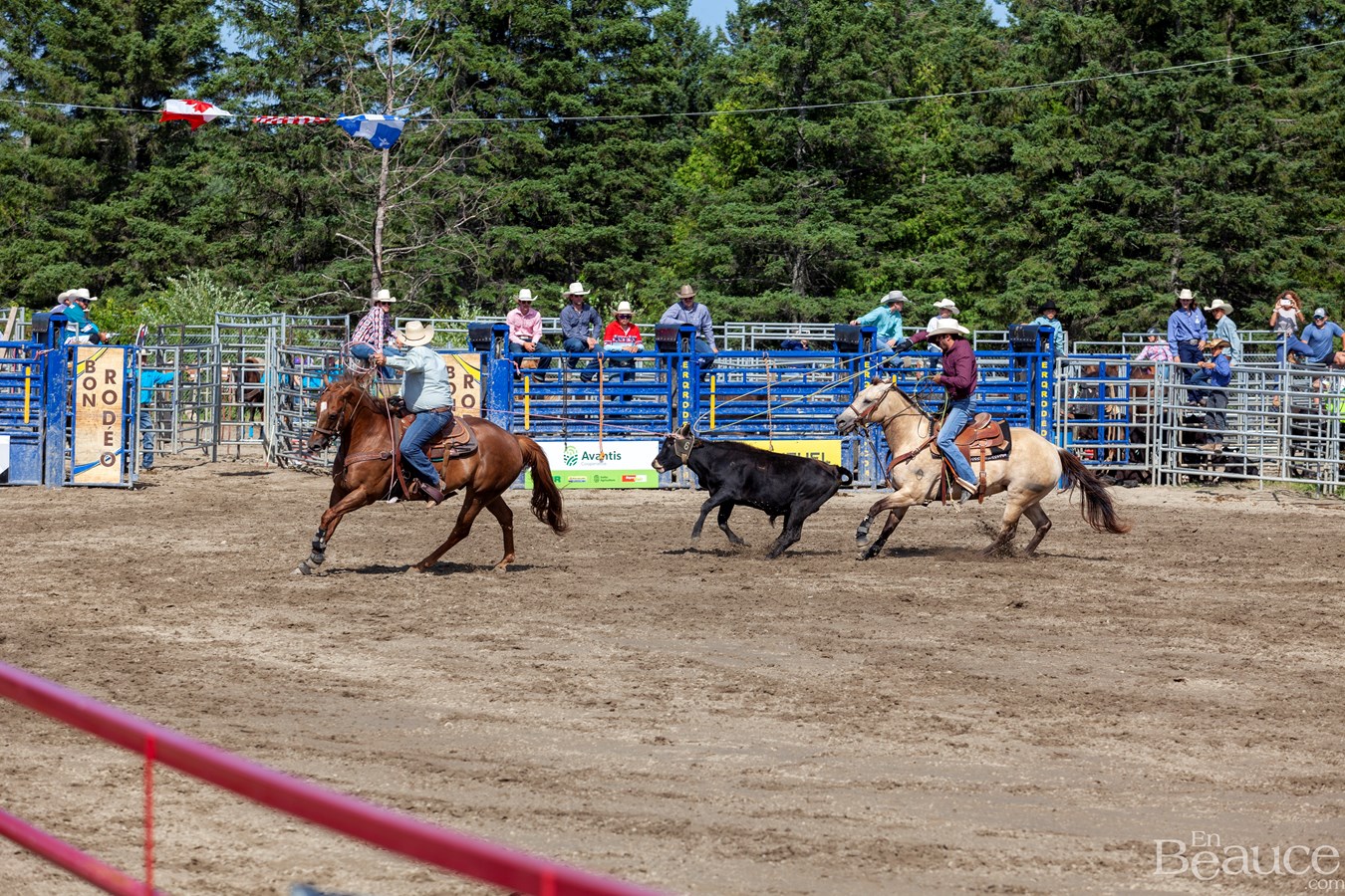 Un dernier rodéo enlevant pour les 43e Festivités Western de Saint-Victor