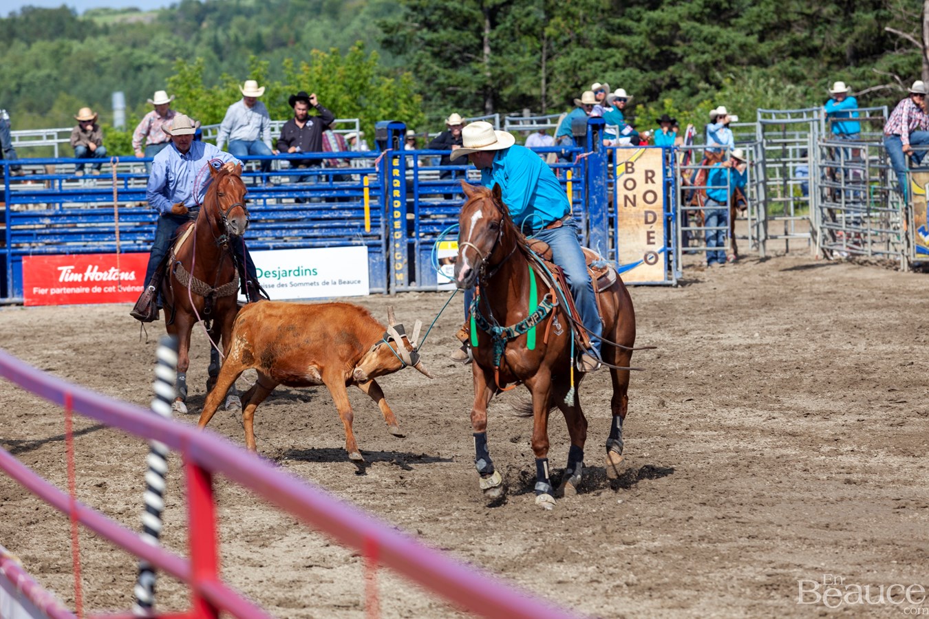 Un dernier rodéo enlevant pour les 43e Festivités Western de Saint-Victor