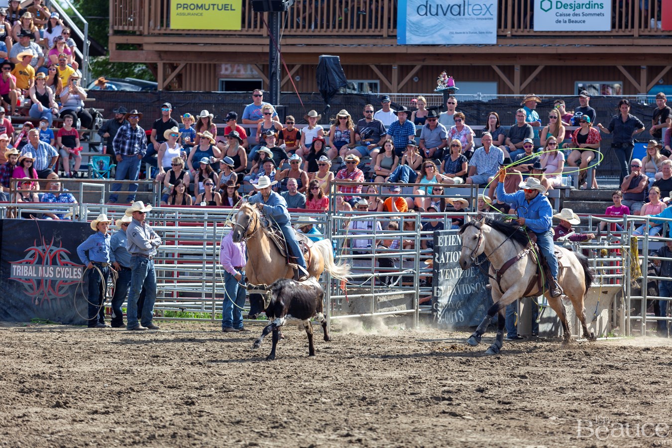 Un dernier rodéo enlevant pour les 43e Festivités Western de Saint-Victor
