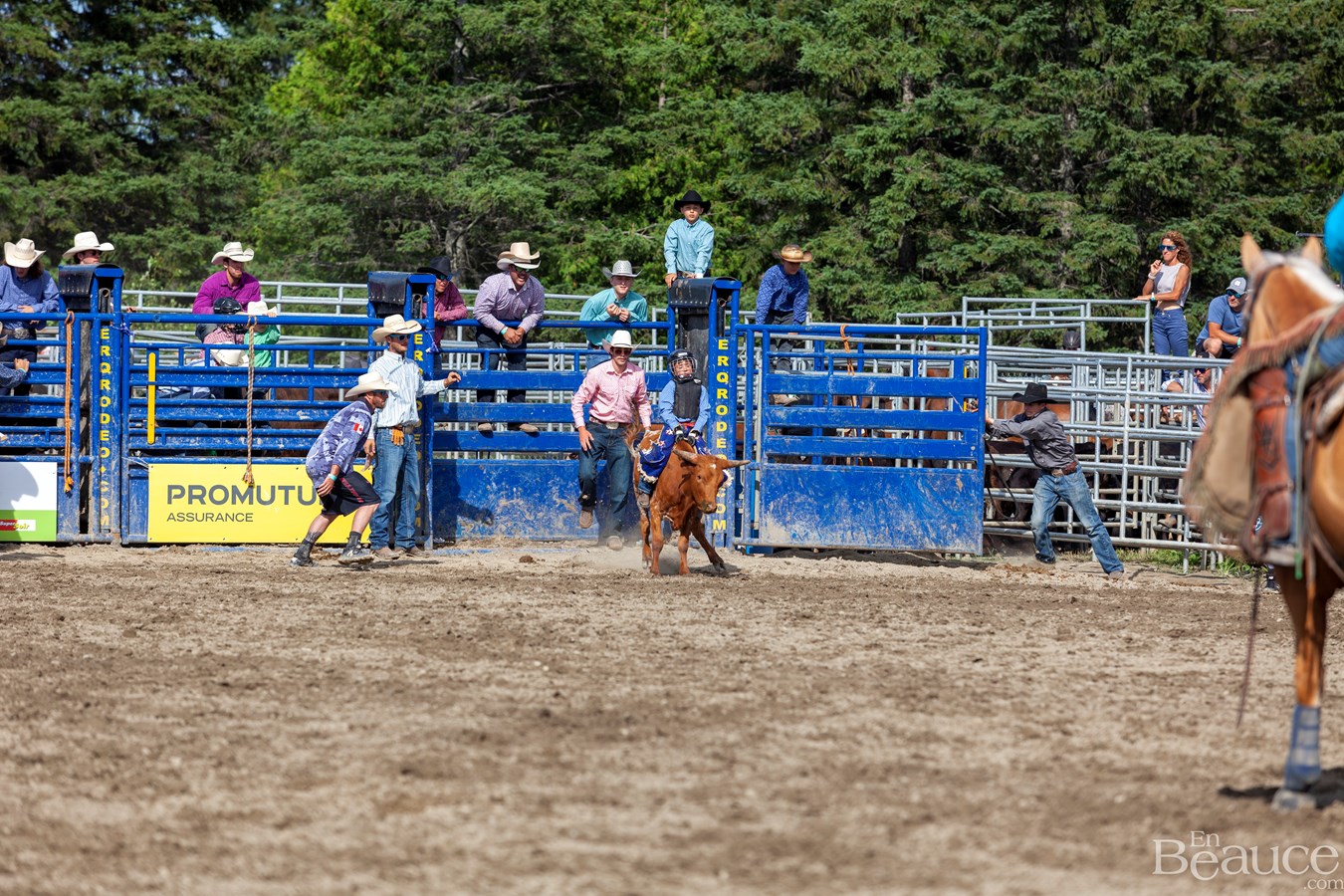 Un dernier rodéo enlevant pour les 43e Festivités Western de Saint-Victor