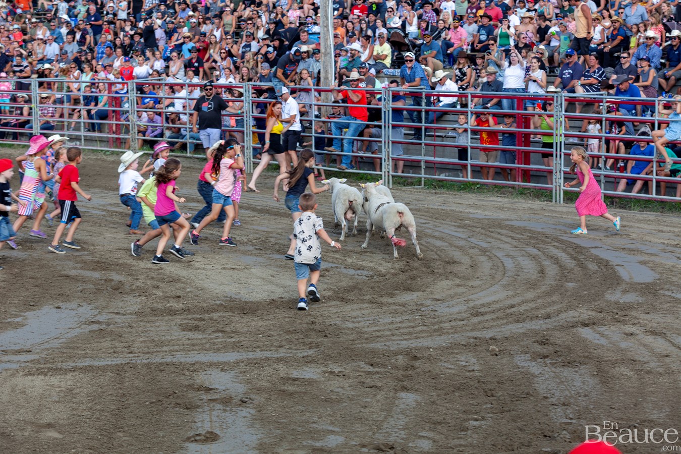Un dernier rodéo enlevant pour les 43e Festivités Western de Saint-Victor