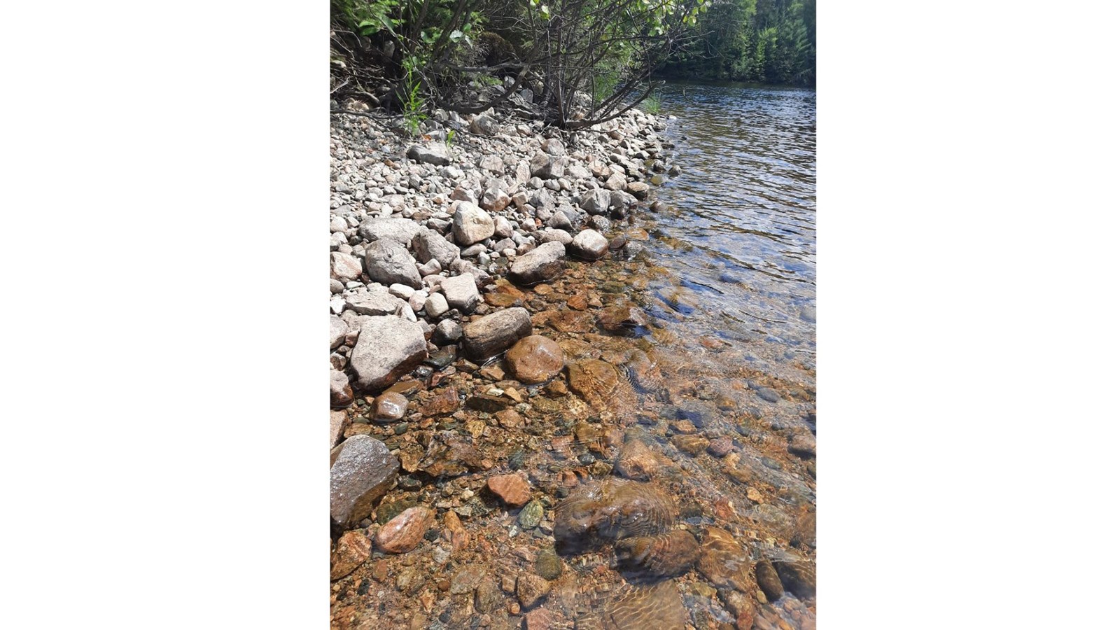 Pointe de l'Ours - Laurentides