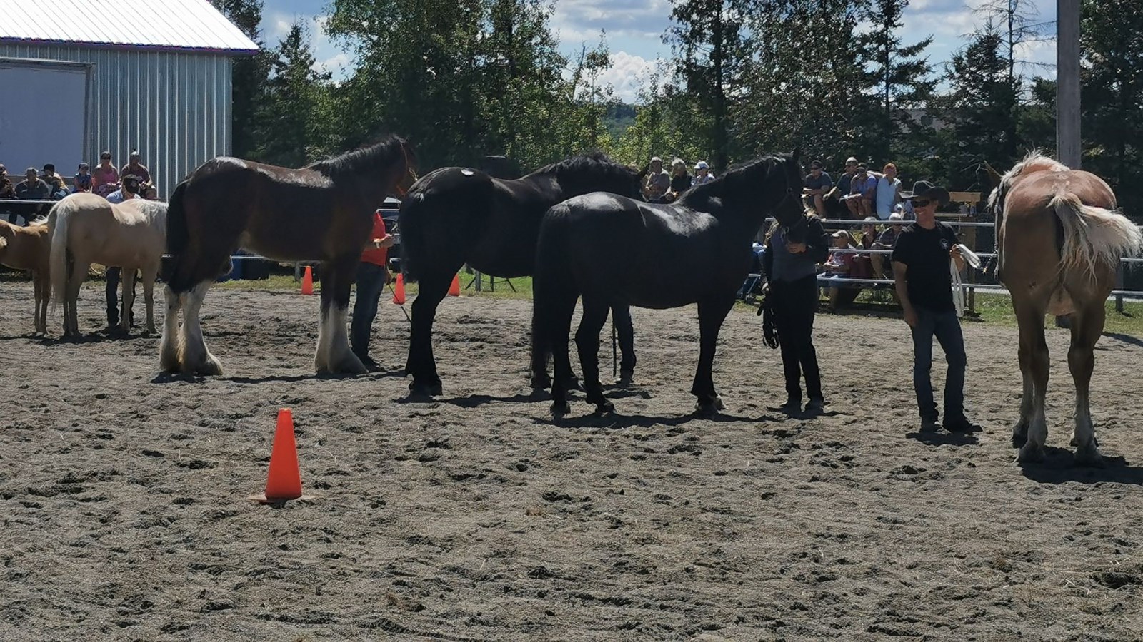 Un bel achalandage à l'Exposition agricole de Beauce