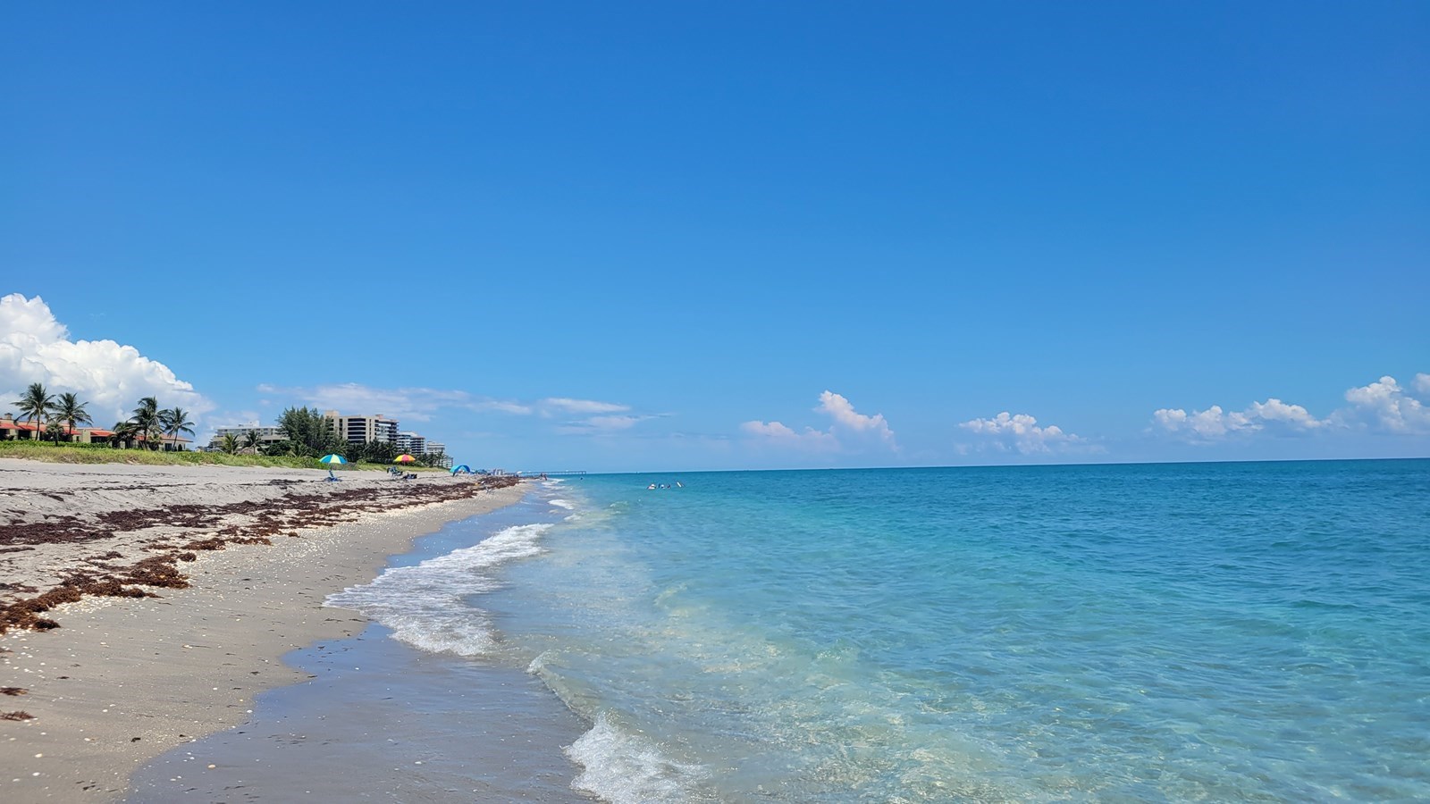 Juno's beach - Floride