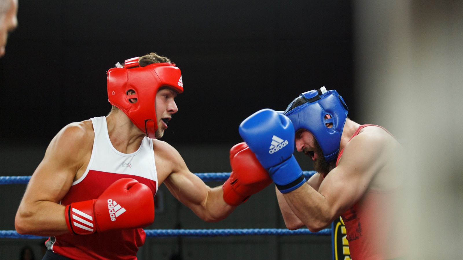 Un gala de boxe réussit à Saint-Zacharie