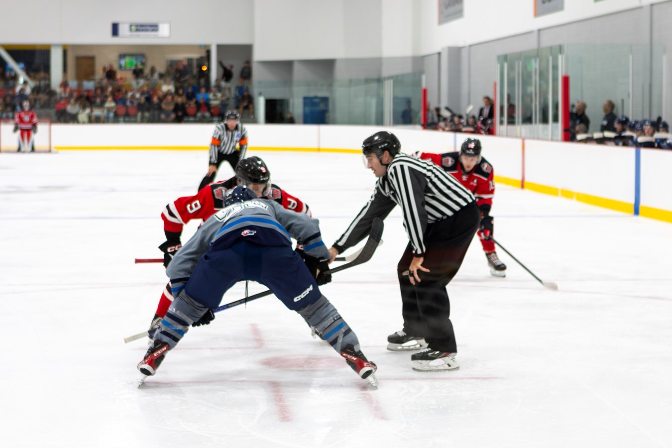 Un premier match au Centre Frameco de Saint-Joseph-de-Beauce