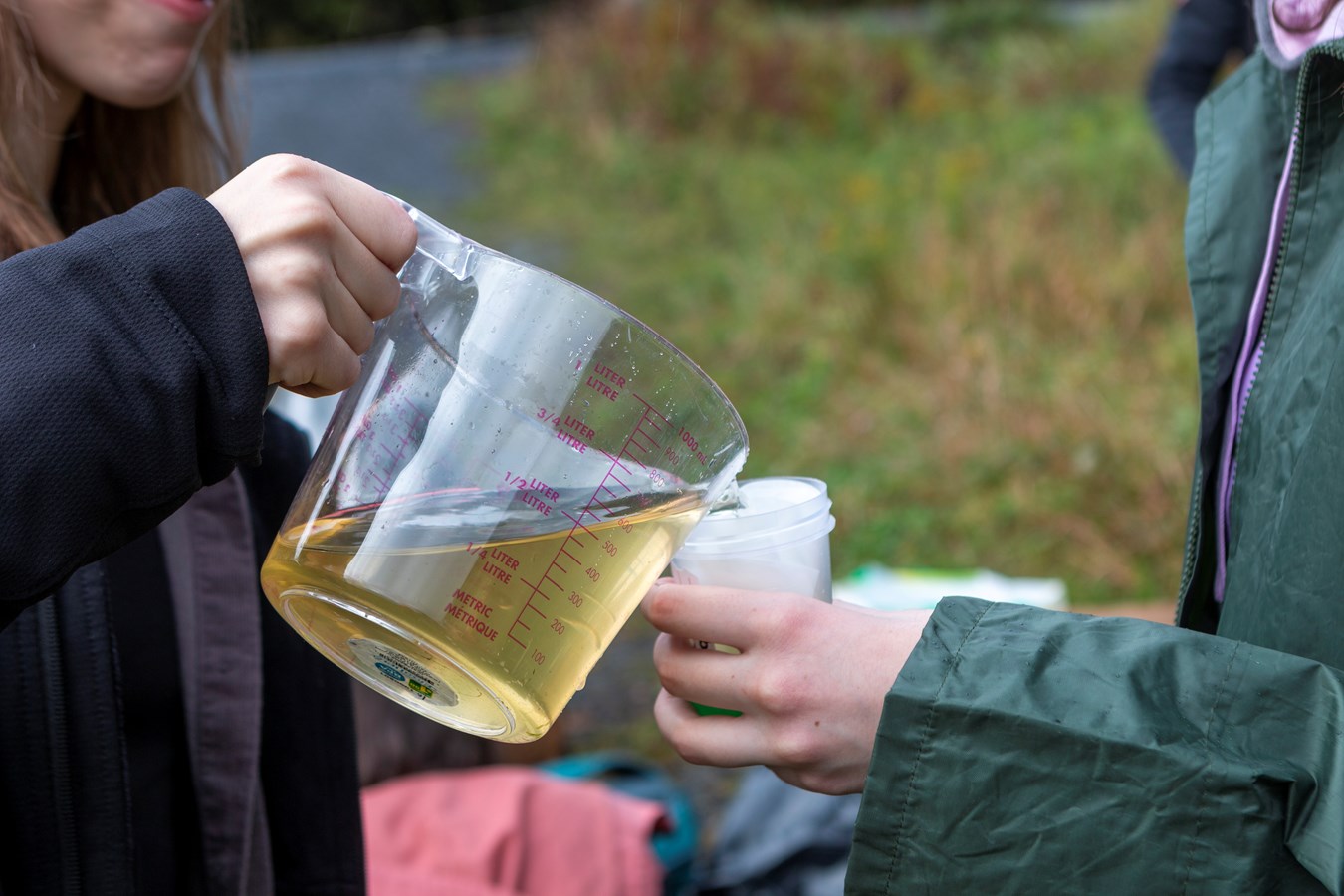 Des étudiants du Cégep Beauce-Appalaches vivent un laboratoire en plein air