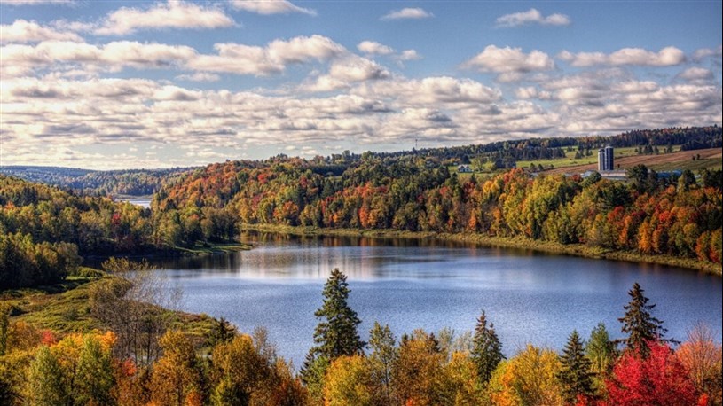 C'est l'automne!