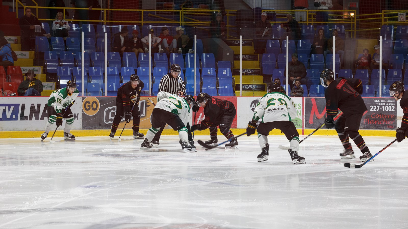 Une murale des anciens Condors inaugurée au Centre sportif Lacroix-Dutil