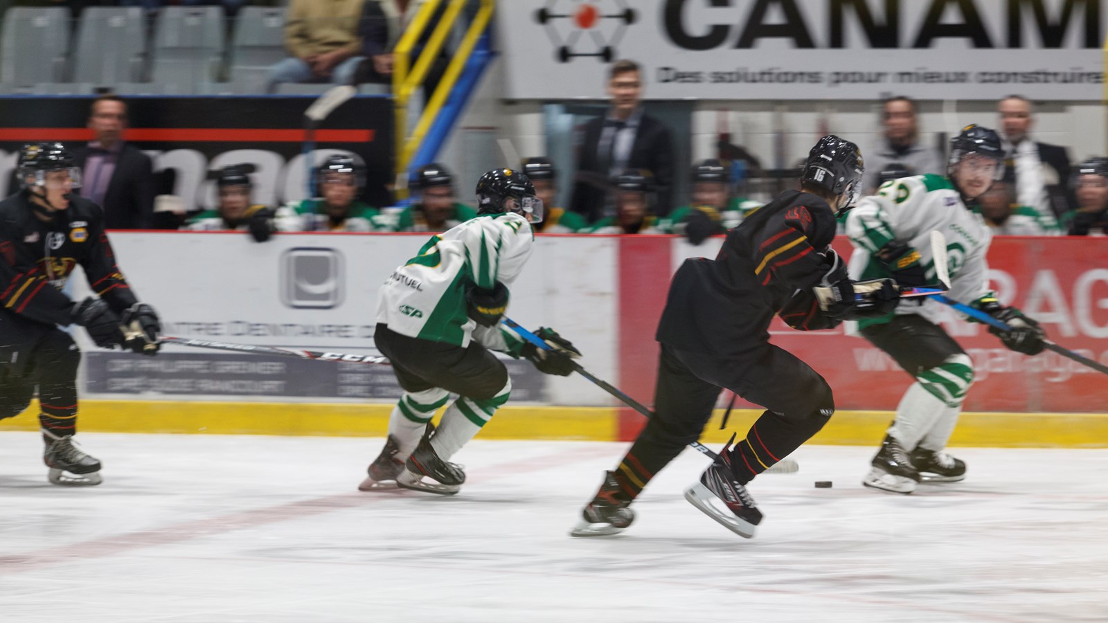 Une murale des anciens Condors inaugurée au Centre sportif Lacroix-Dutil