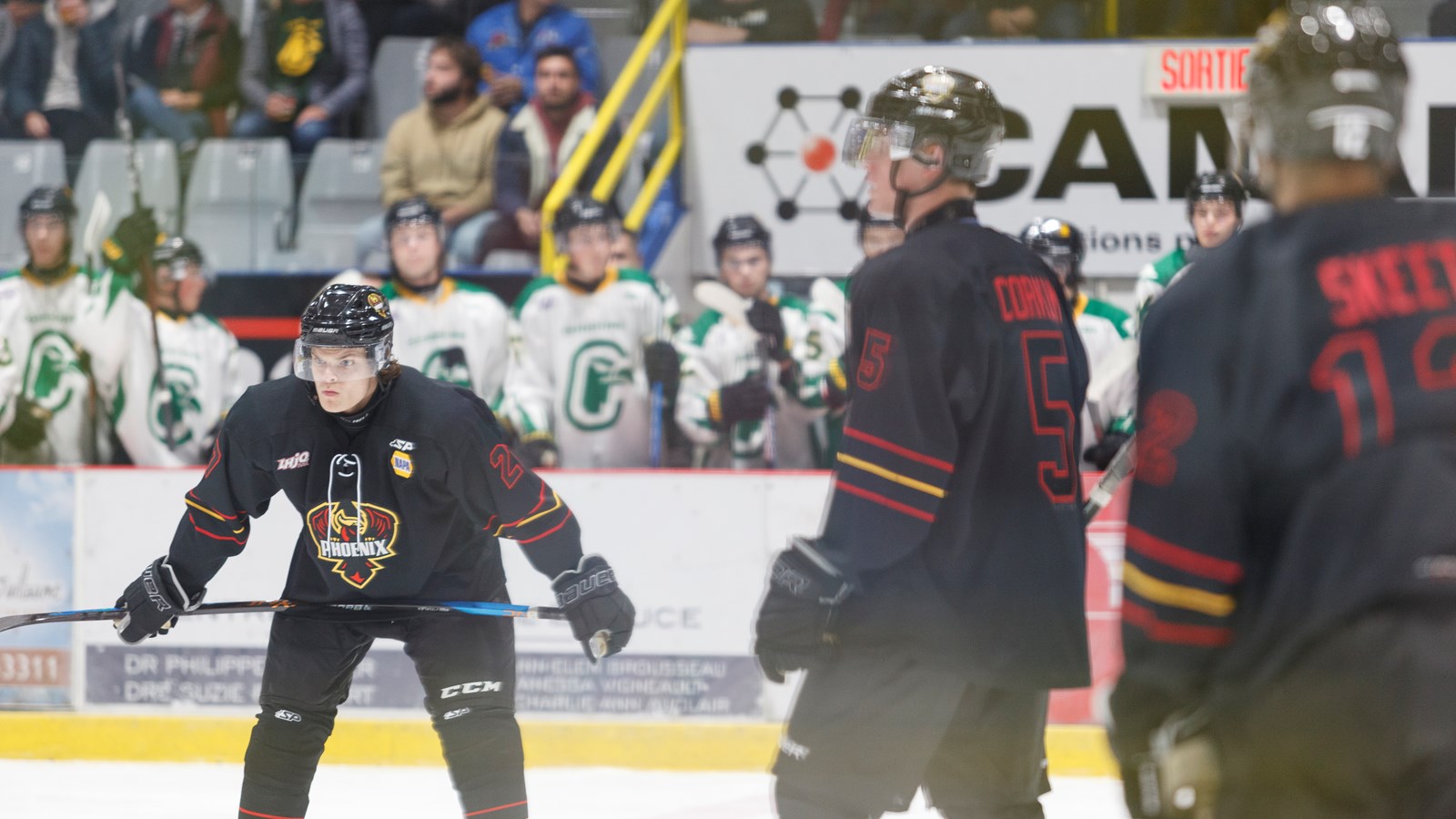 Une murale des anciens Condors inaugurée au Centre sportif Lacroix-Dutil