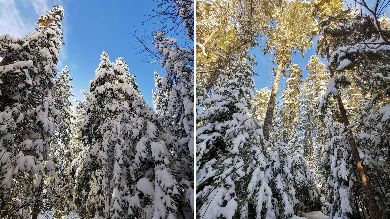 Galerie 1 : vos paysages hivernaux