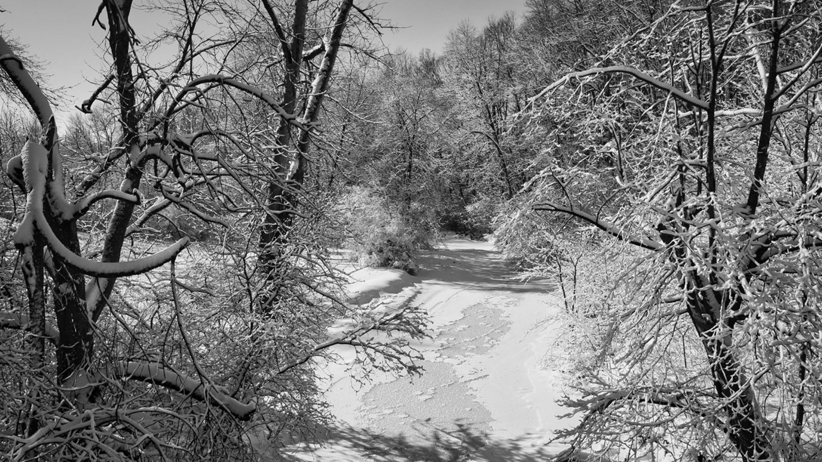 Galerie 1 : vos paysages hivernaux