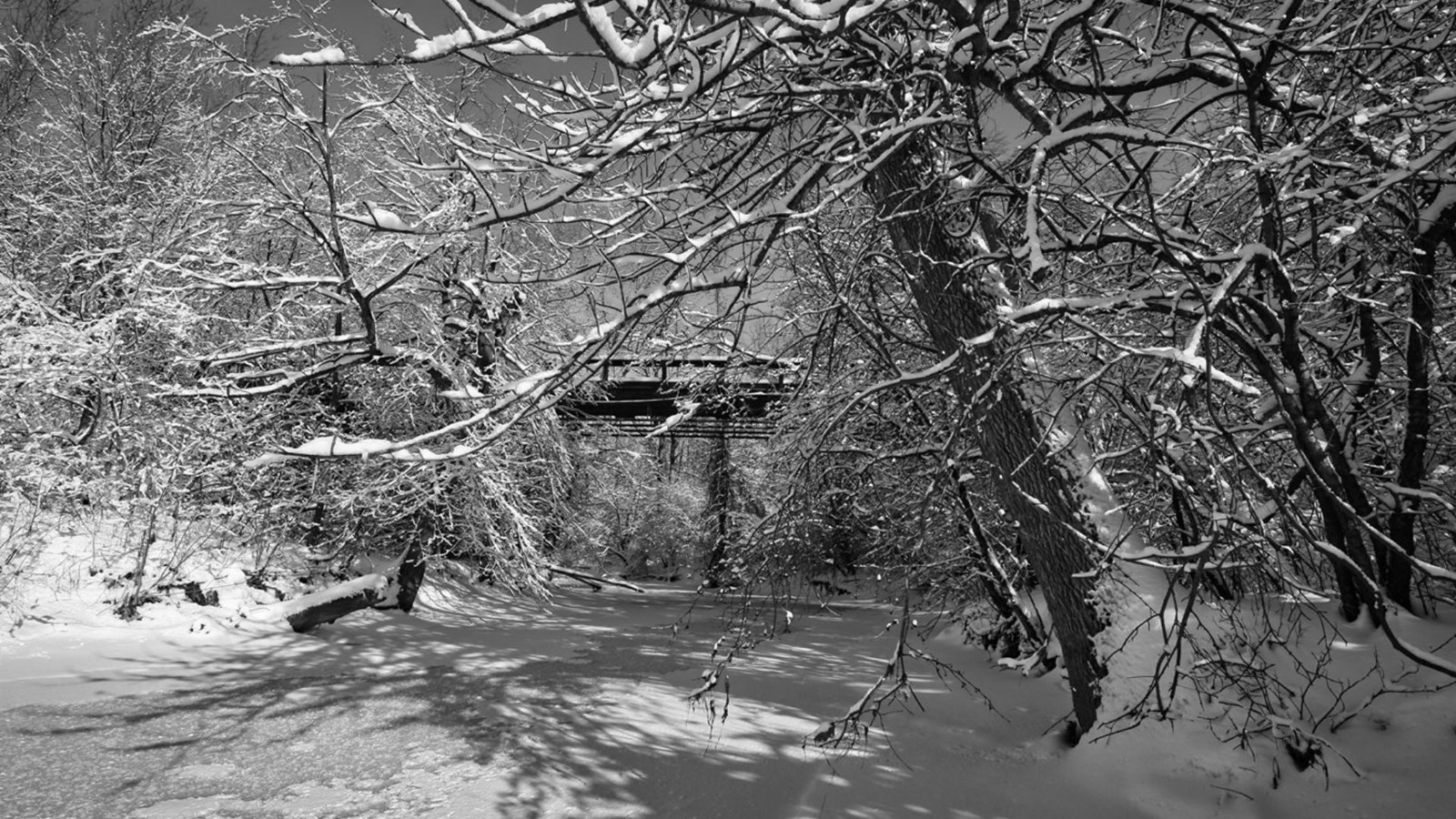 Galerie 1 : vos paysages hivernaux