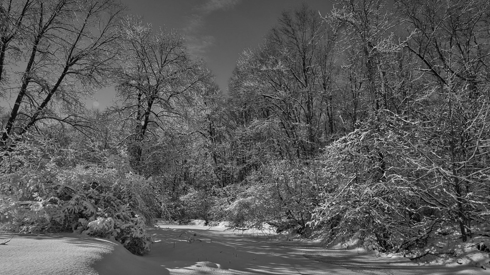 Galerie 1 : vos paysages hivernaux