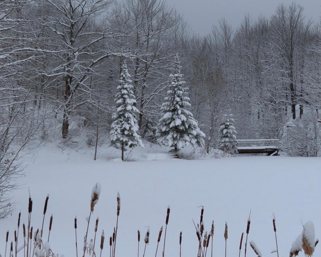 Galerie 2 : vos paysages hivernaux