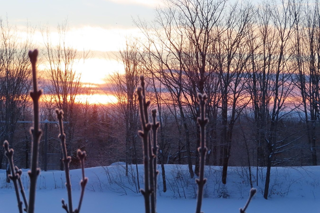 Galerie 2 : vos paysages hivernaux
