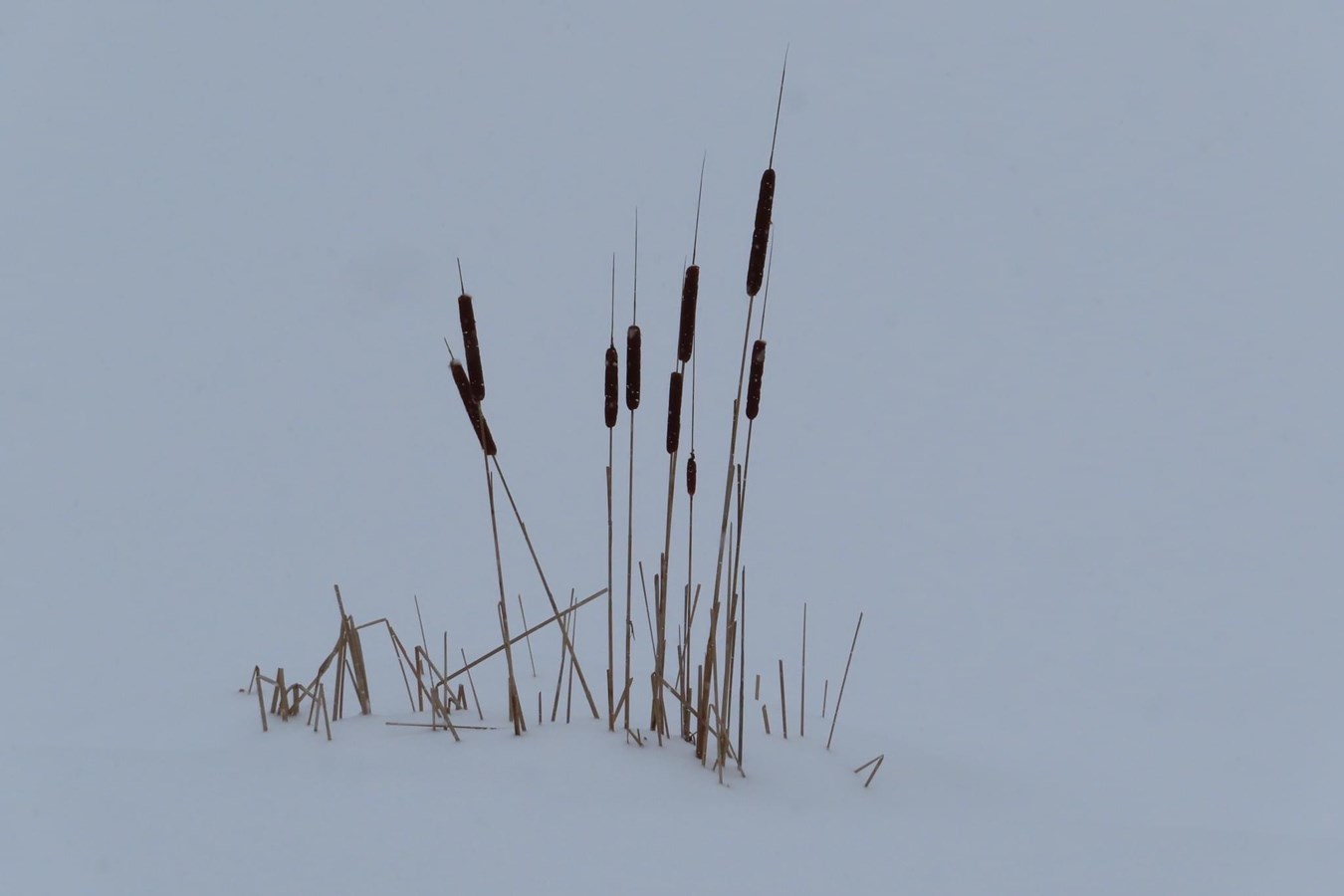 Galerie 2 : vos paysages hivernaux