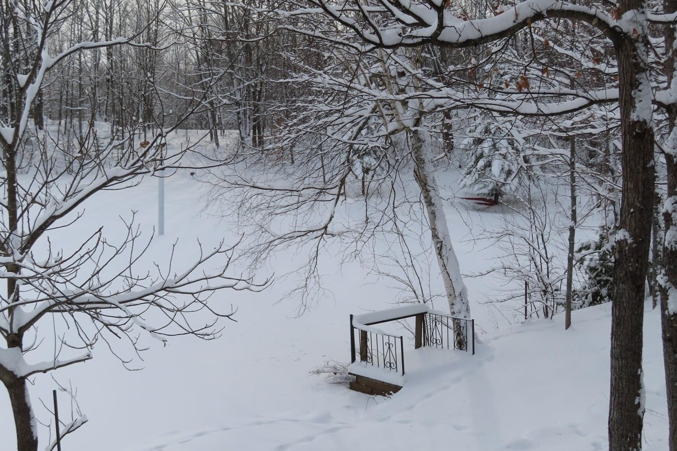 Galerie 2 : vos paysages hivernaux