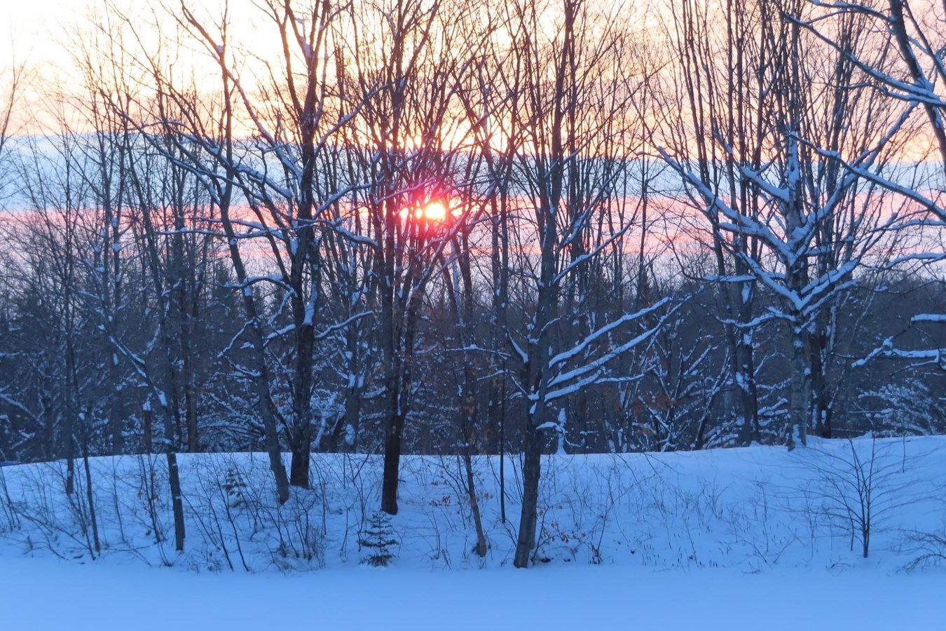 Galerie 2 : vos paysages hivernaux