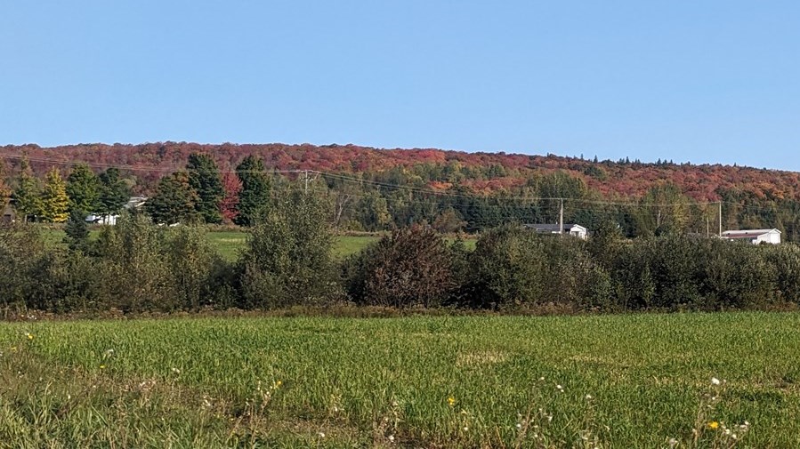 Appel photo: l'automne aux milles couleurs