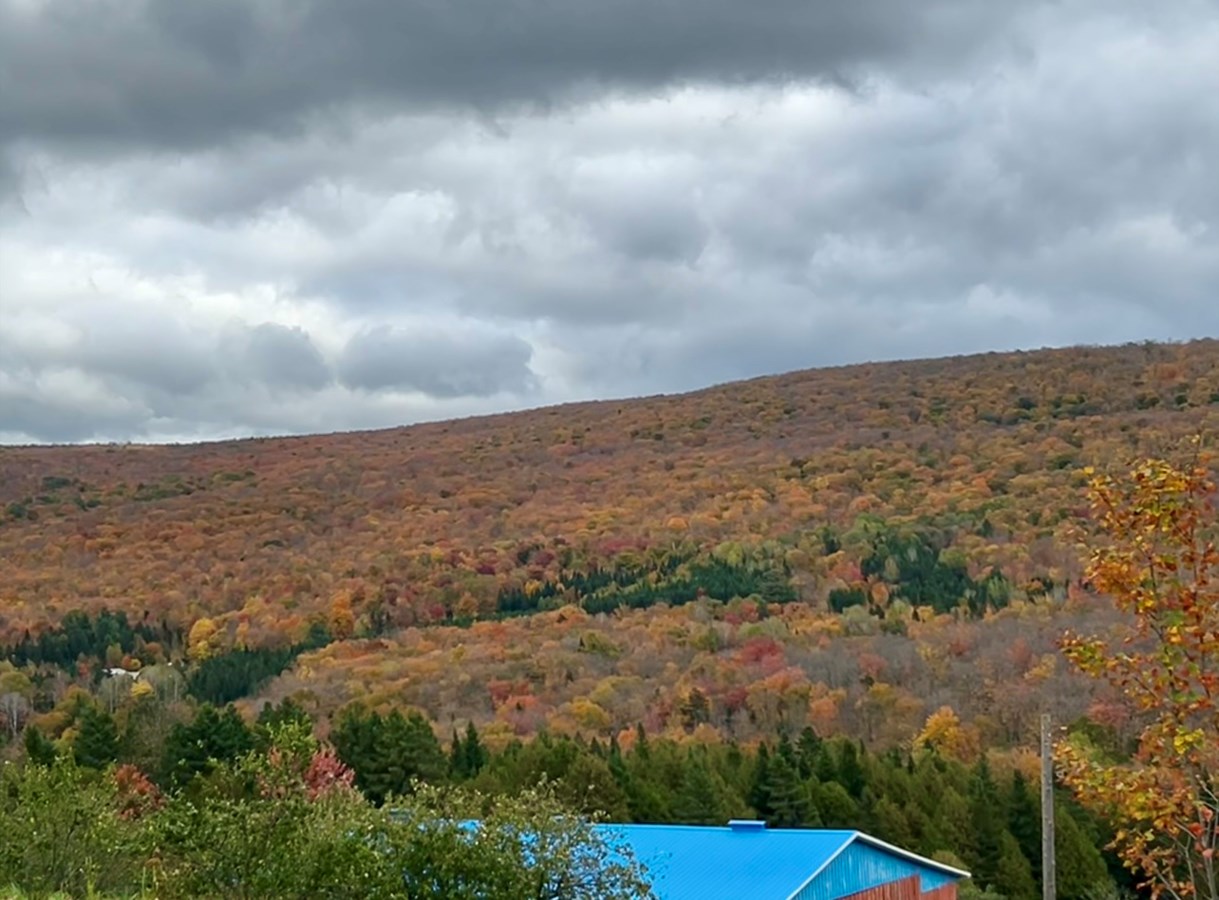 Galerie 1: l'automne aux mille couleurs