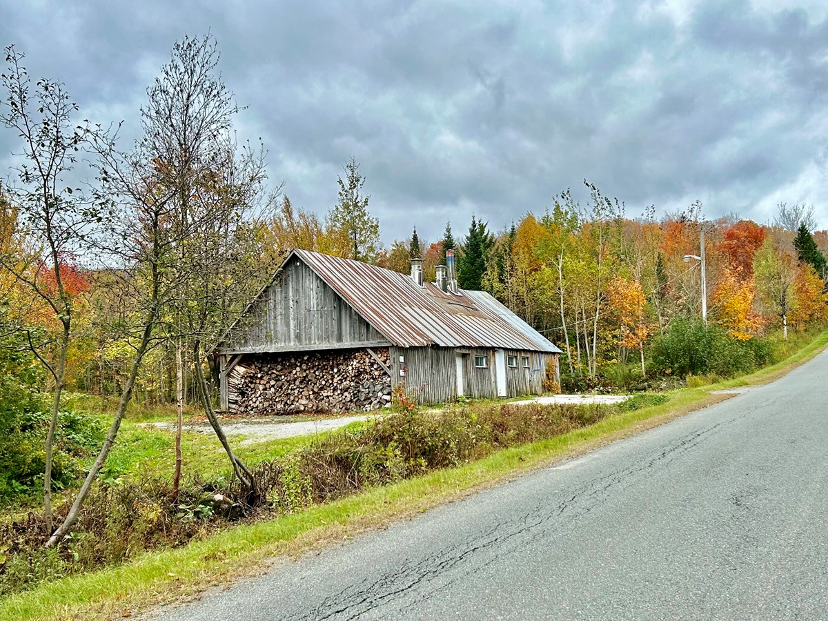 Galerie 1: l'automne aux mille couleurs