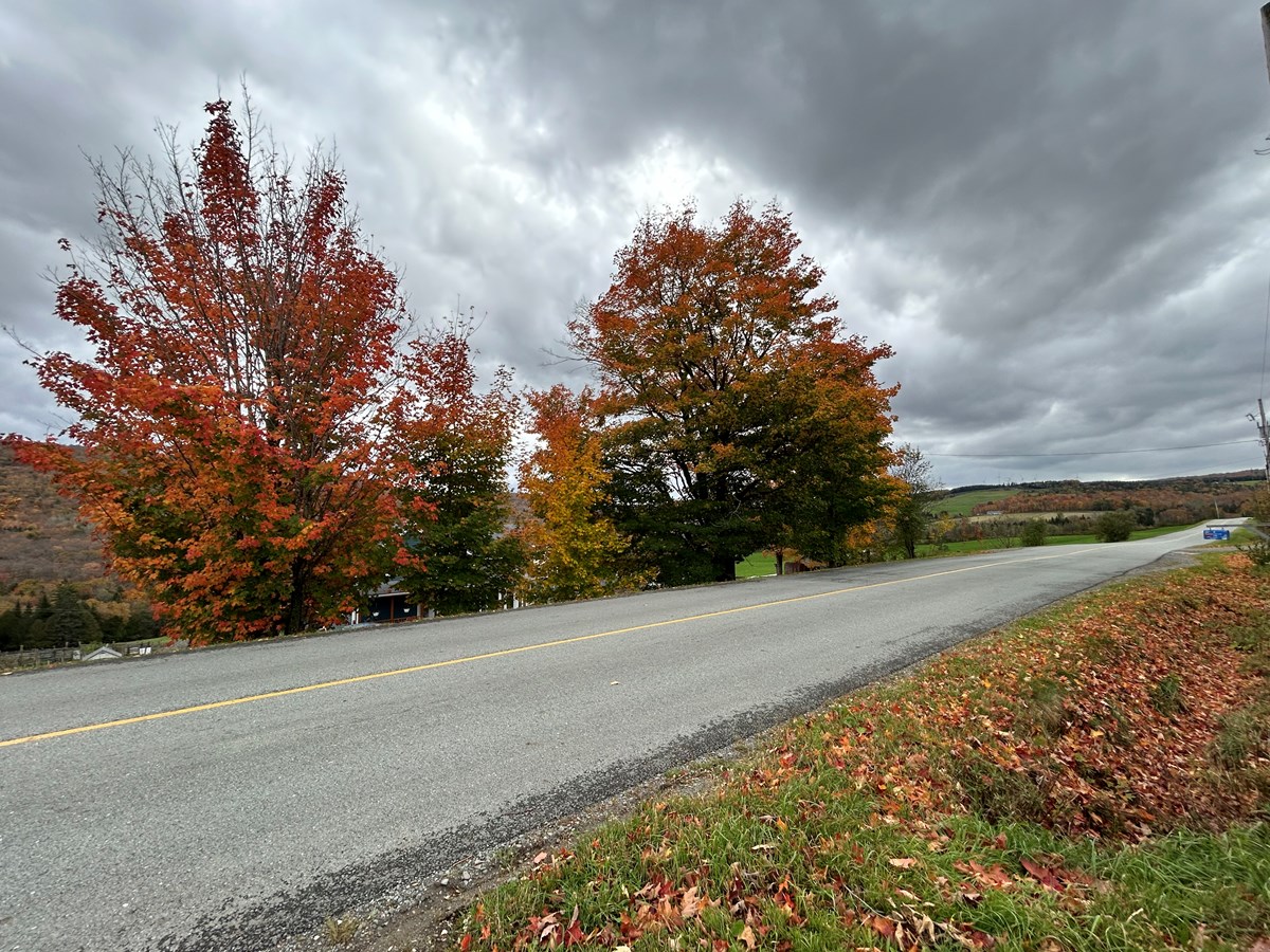 Galerie 1: l'automne aux mille couleurs