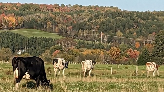 Galerie 1: l'automne aux mille couleurs