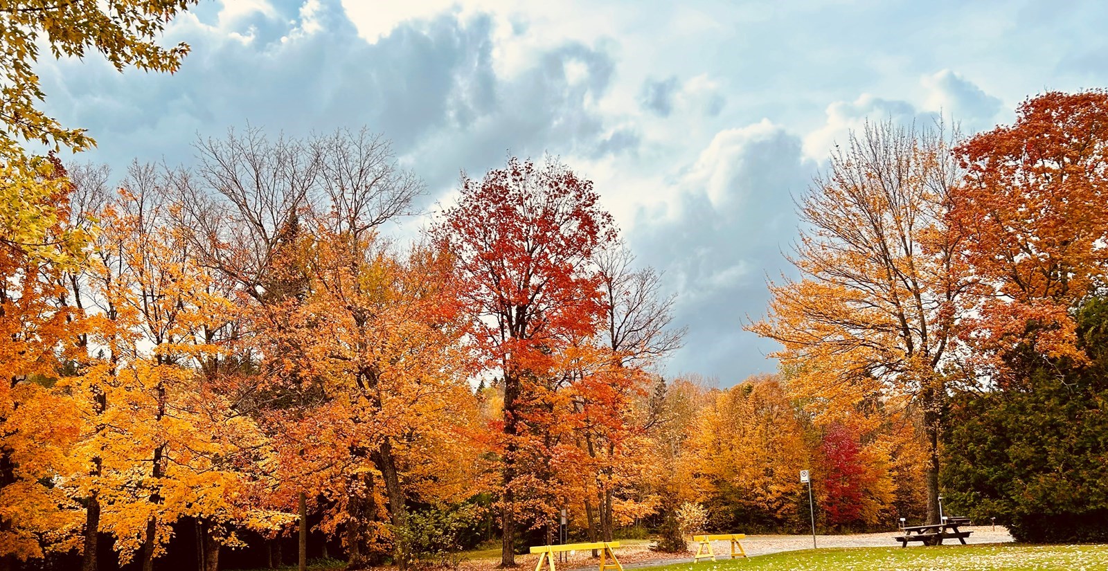 Galerie 1: l'automne aux mille couleurs
