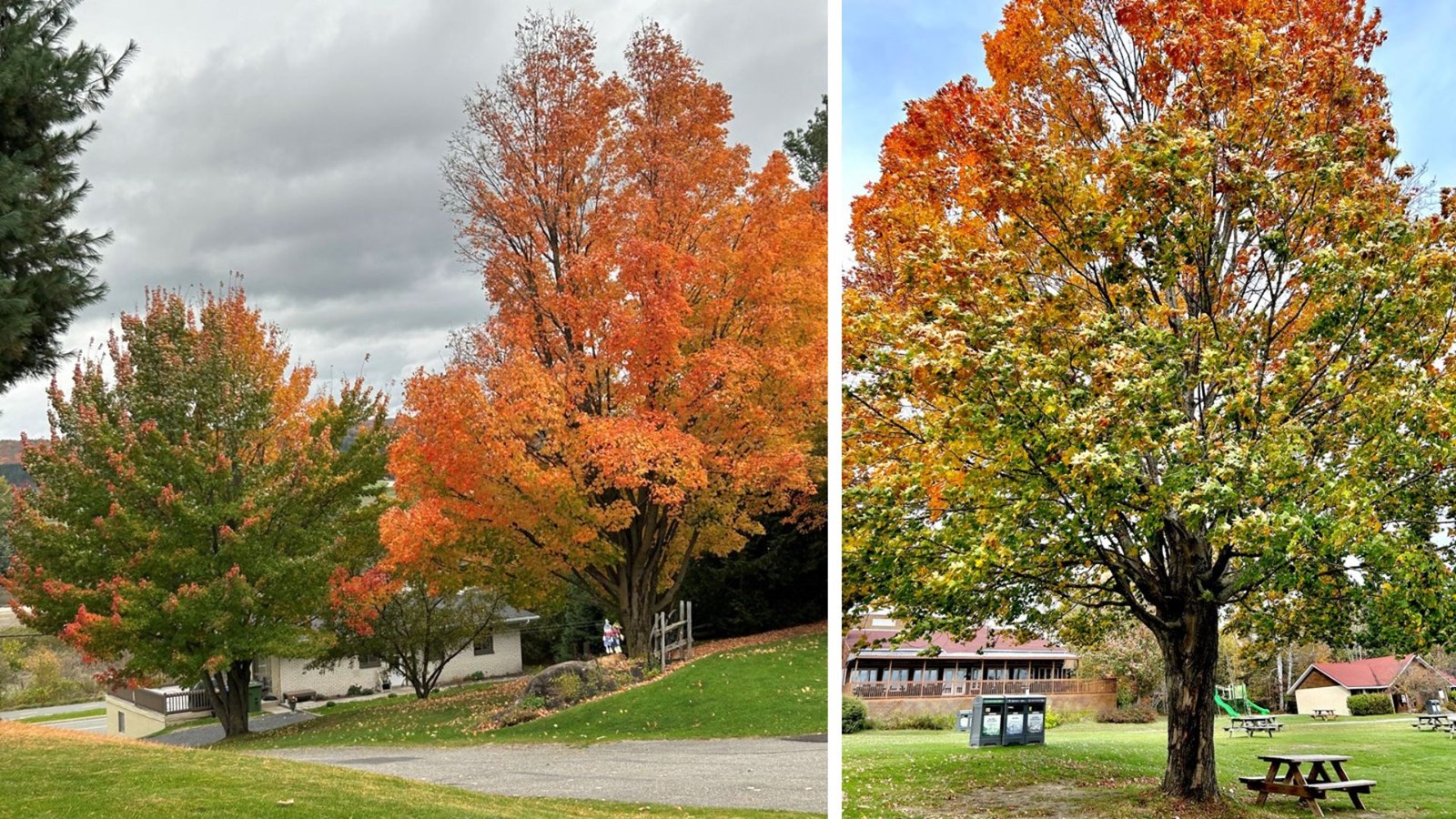 Galerie 1: l'automne aux mille couleurs