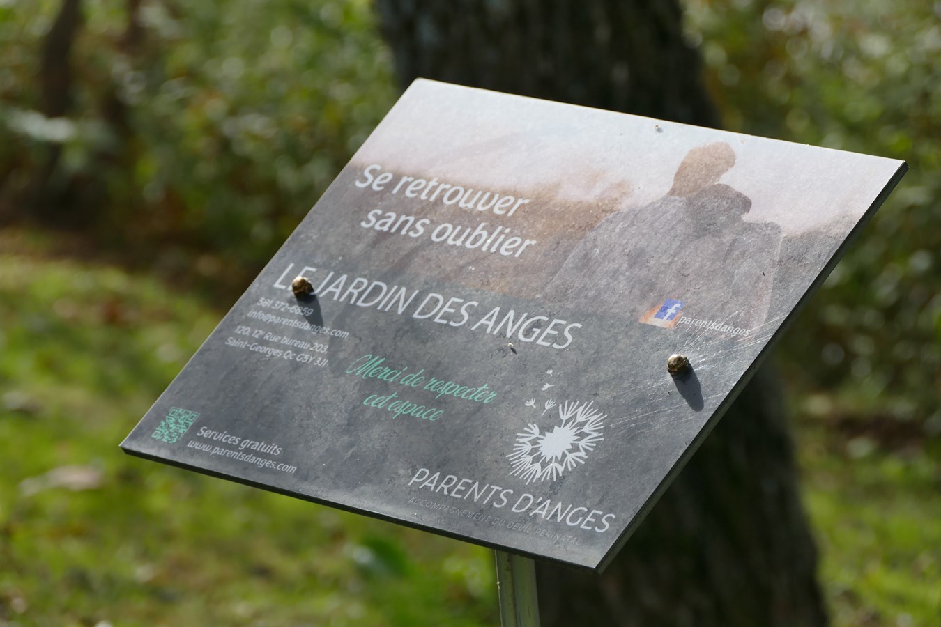 Une 9e Fête des Anges remplie d'émotion