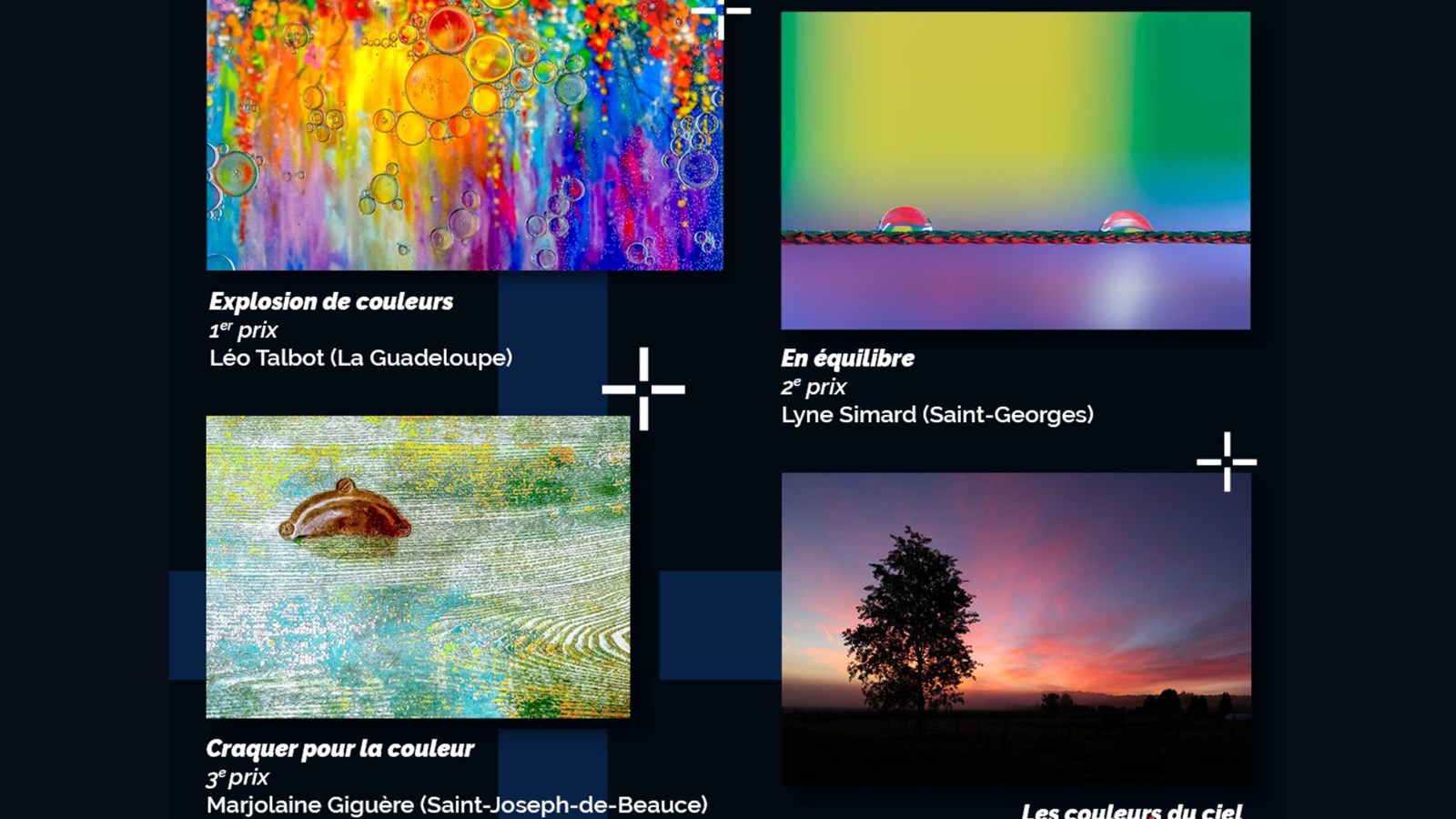 Clin d'oeil sur la Beauce: quatre photographes récompensés