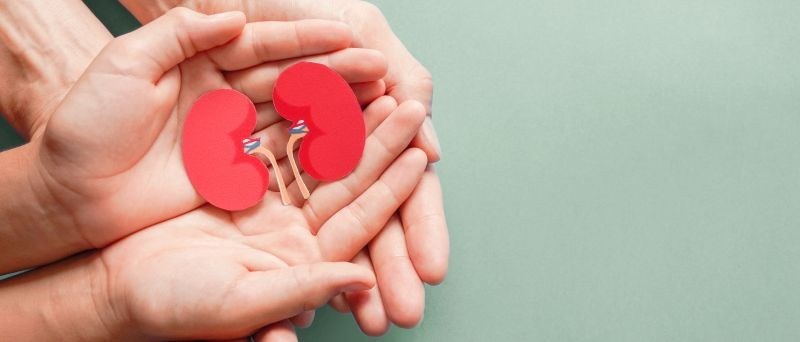 Plus de 50% des répondants ont consenti au don d'organes