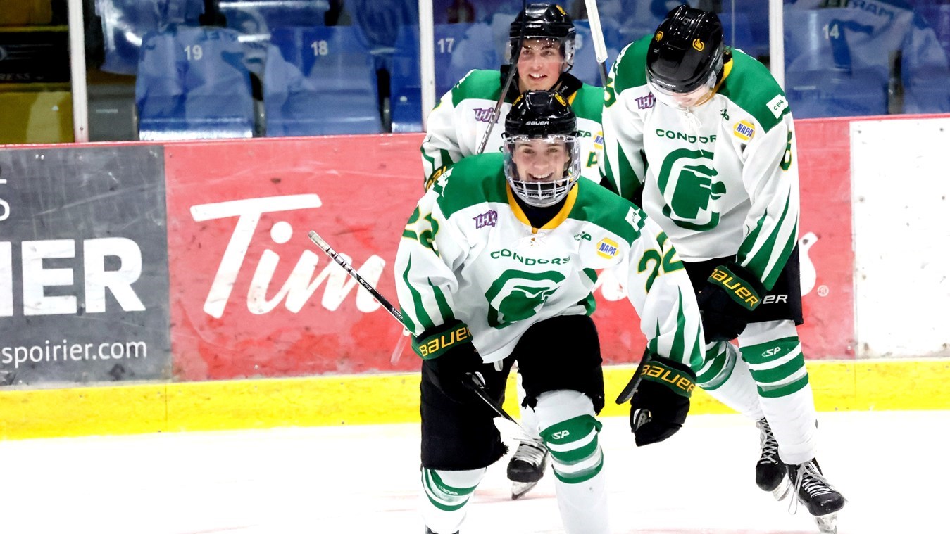 Les Condors hockey sans pitié contre les Prédateurs